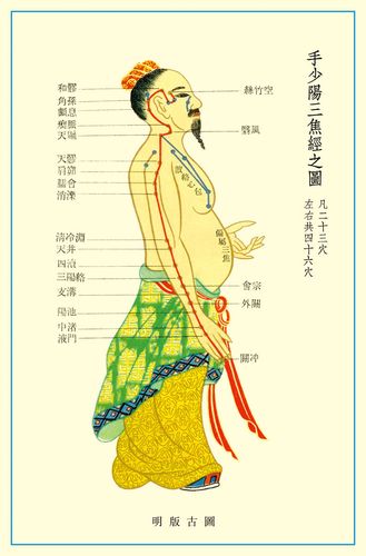 569海报印制海报展板素材241手少阳三焦经穴位图 非高清图
