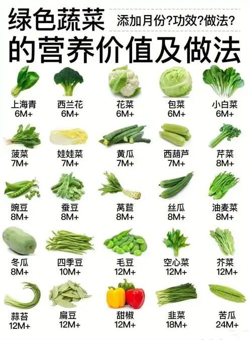 蔬菜的营养价值and辅食添加顺序