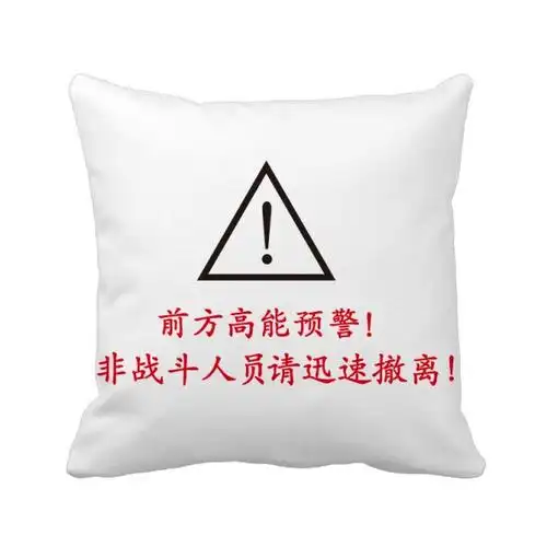 前方高能预警迅速撤离方形抱枕沙发靠垫双面含芯动漫毛绒
