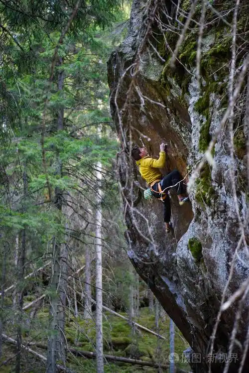 在斯堪的纳维亚森林中攀登岩石的年轻登山男子北欧的目的地积极的生活