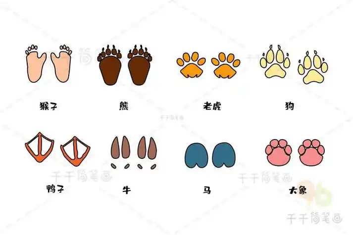 动物脚印简笔画视频