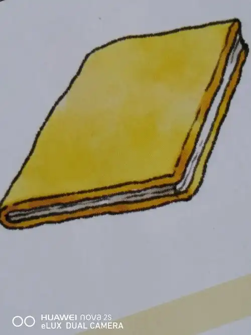 鲁庄中心幼儿园中班级数学《比一比厚薄》