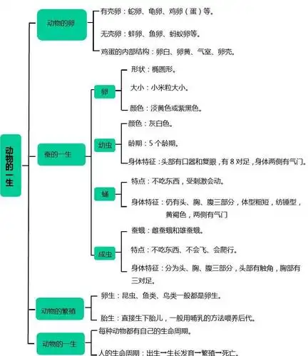 (新教材)(教科版)小学科学三年级下册第二单元动物的一生整理与复习