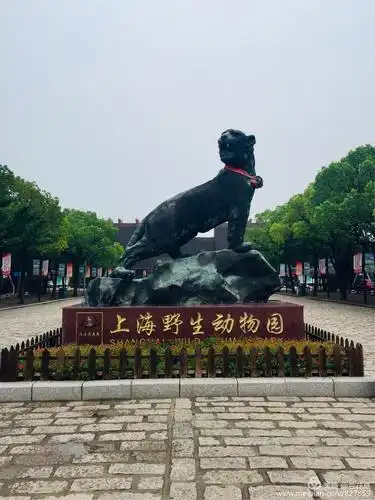 上海野生动物园(2018.9.21)
