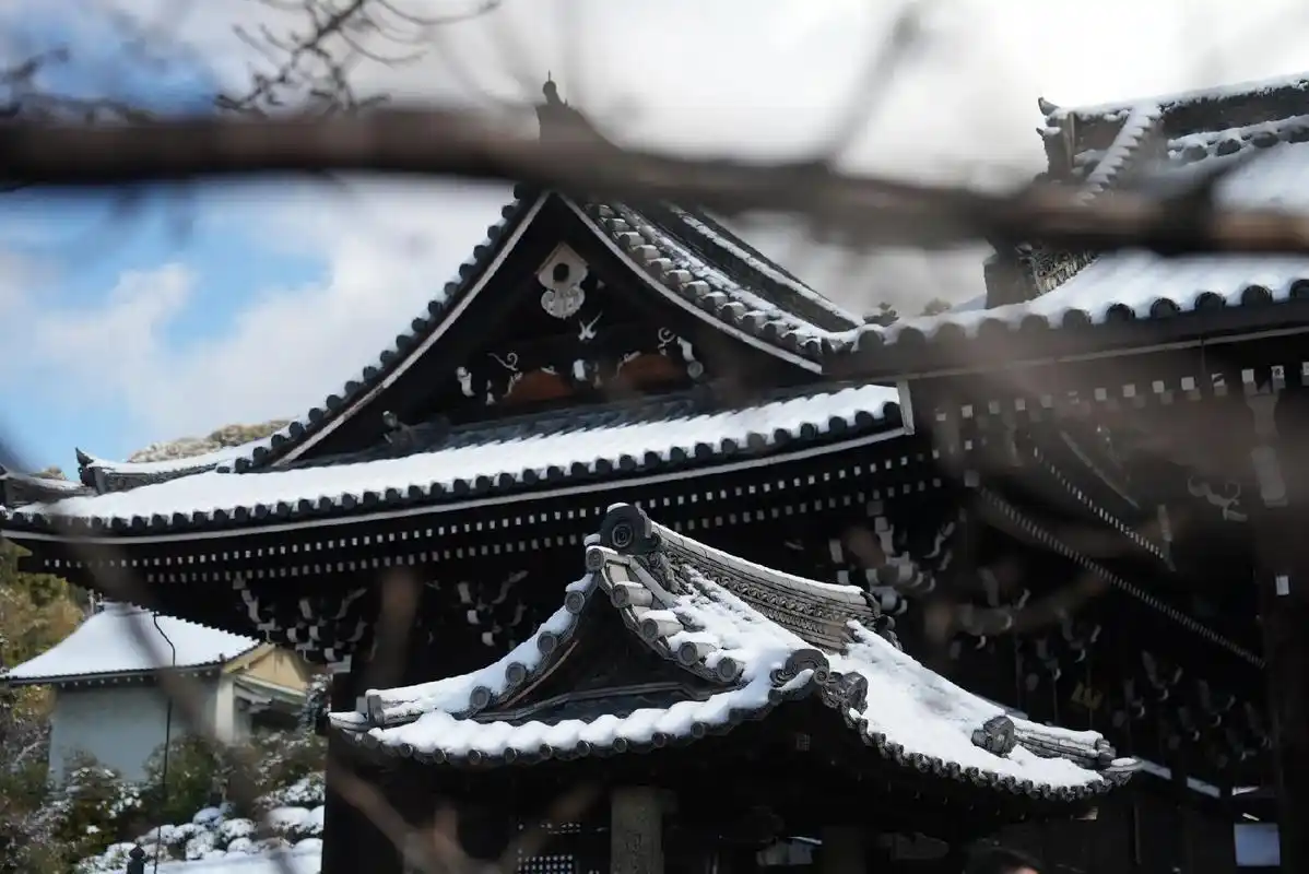 来自日本京都的清水寺的风景,也许每次抽身,将镜头对向 - 抖音