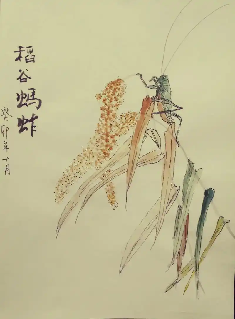墨画和白描工笔草图涂色练习.蚱蜢寓意: 蚱蜢又称蝗虫,蝗同 - 抖音