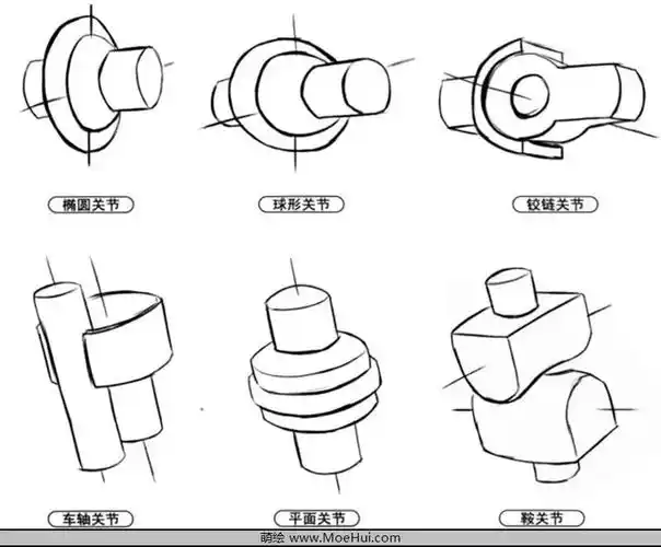 大致分为6种:球形关节,椭圆关节,铰链关节,鞍关节,车轴关节和平面关节