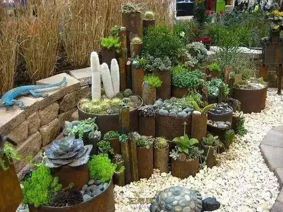 50款多肉植物景观