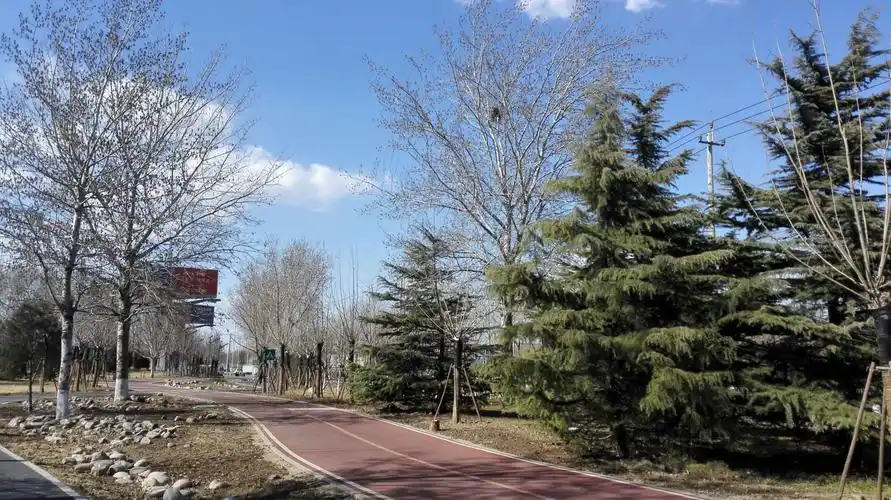 亦庄凉水河滨河公园