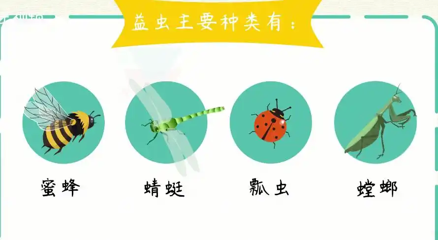益虫有哪些