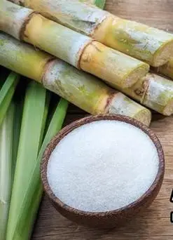 甜菜与它制成的糖那个更甜?