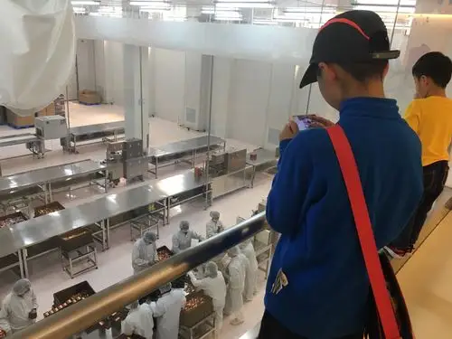 巧克力工厂,我们来了!