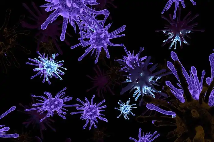 微生物图片细菌高清图片大全显微镜下的微生物图片素材