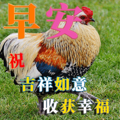 四月早晨好祝福语图片大全早晨好问候语阳光句子