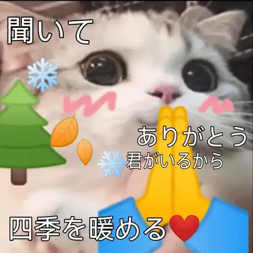 因为有你 温暖了四季 日文版#听我说谢谢你  #听我说谢谢你表情包