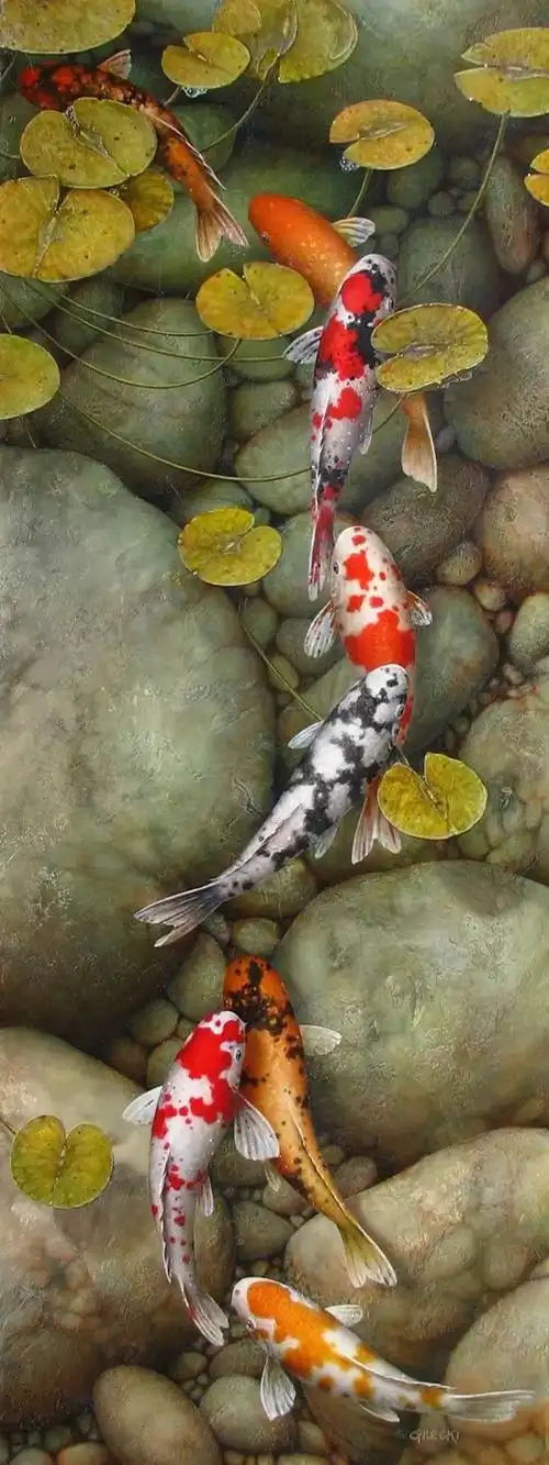 绘画|锦鲤 水静