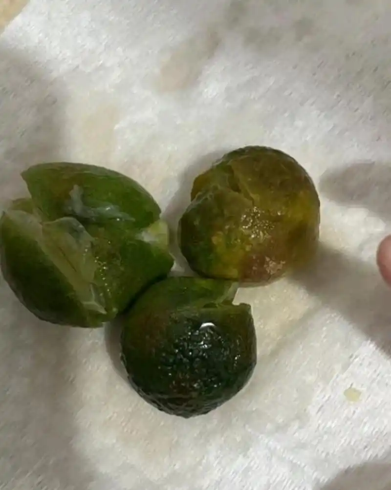 喝到一半发现橘子是烂的,商家已读不回怎么办?