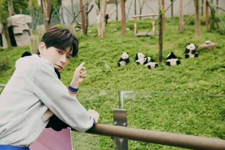 丁禹兮-图集-艺人-光线易视