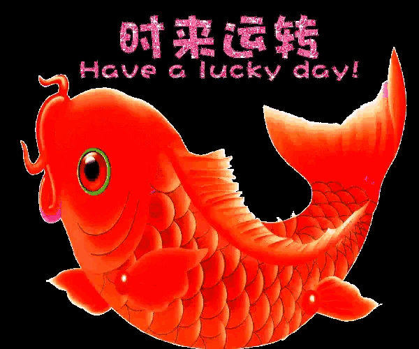 锦鲤考神#转运锦鲤,留愿转走运势逆袭,时来运转,三天内有特别好的