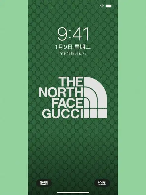 这波是很亮的壁纸#手机壁纸  #gucci北面联名