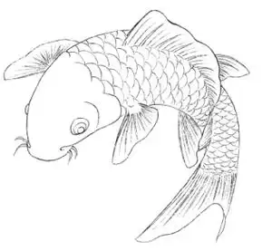 五步画白描许愿锦鲤,好运连连