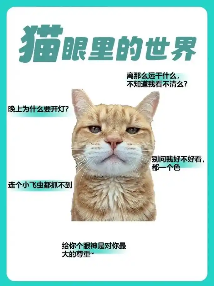 虽然它们眼中的世界和人类是相似的但 - 抖音