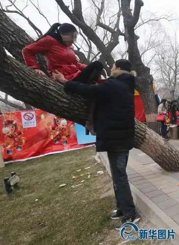 轻松管理手机 免费下载应用在厂甸庙会上,陶然亭公园里的厕所虽多,但