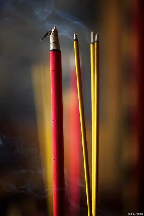 寿香怎么知道左搭右搭?