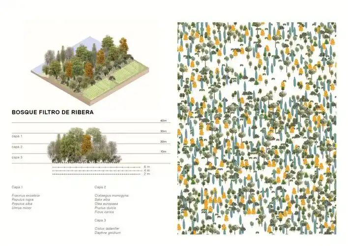 生产性景观设计分析图轴测立面平面