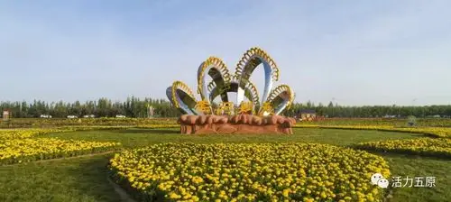 金色葵海邀您来天赋河套世界共享五原县第四届葵花节盛大开幕