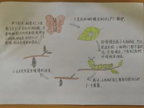 不经历风雨怎么见彩虹——小毛虫的成长之旅