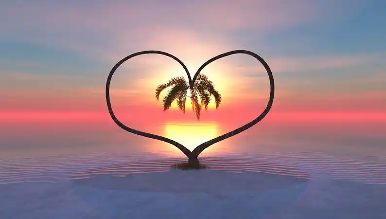 心形,两个,棕榈树,日落,热带海岛_高清图片_全景视觉