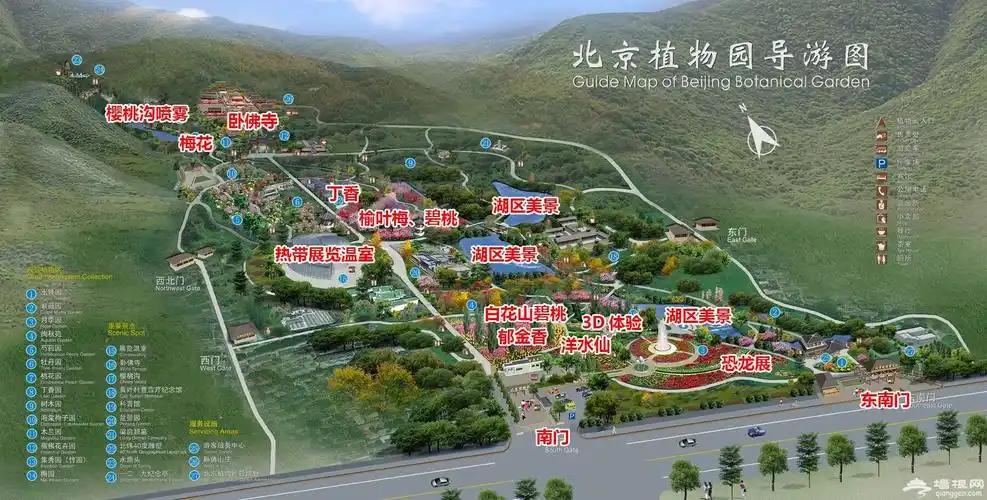 北京植物园桃花节清明赏花攻略