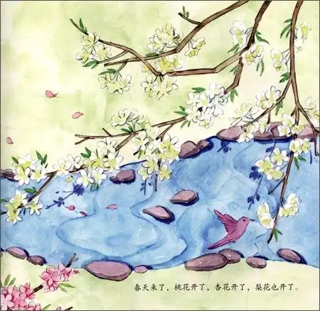 花瓣儿鱼(自然篇)-老约翰绘本馆