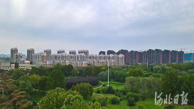 近日拍摄的河北省邢台市南和区和阳公园一角.