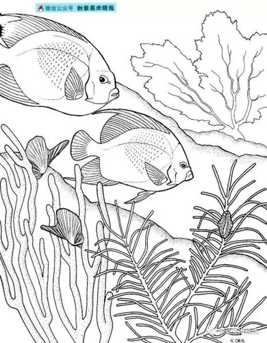 素材分享——海底世界主题线描作品_海洋