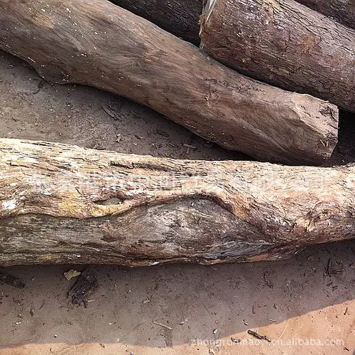 非洲鸡翅木原木图片_4