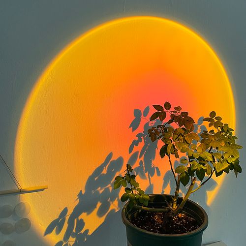 日落落地氛围拍照投影网红装饰创意个性夕阳背景墙装饰灯