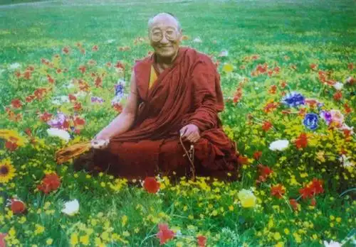 无比感动,50元改变了一位大堪布的一生!