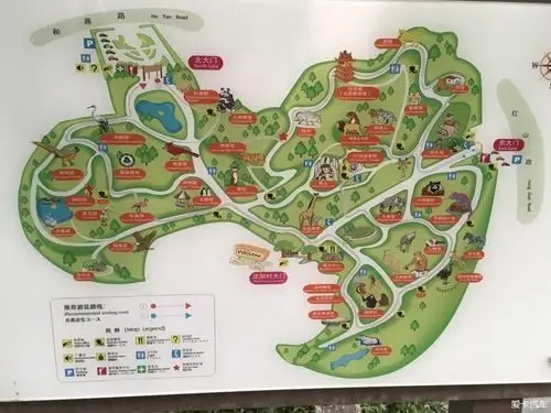 快乐的亲子游庆祝六一儿童节