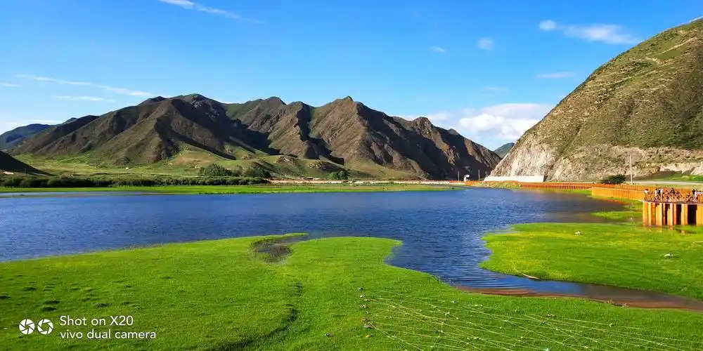甘肃甘南桑科大草原