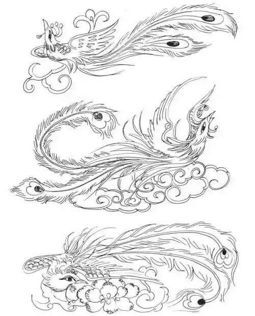 书画联盟丨龙凤白描图谱凤