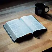 书本头像适合做头像的书本图片