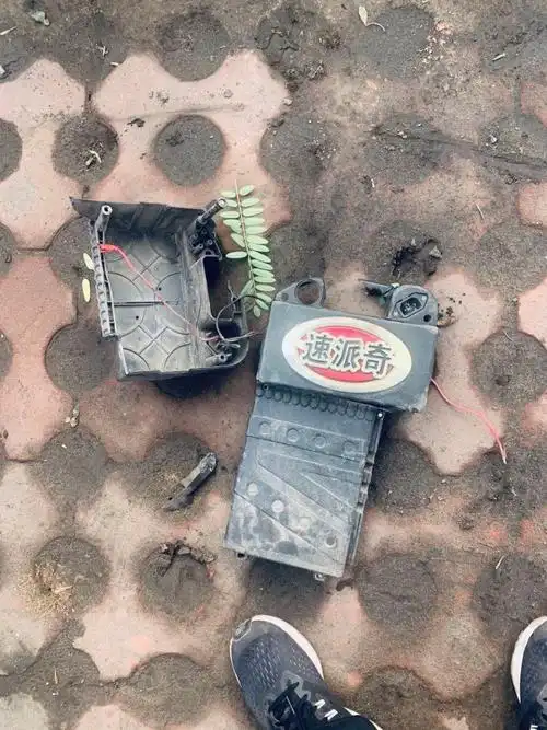 近日,小编收到了一条大快人心的消息,一名偷电瓶的毛贼作案时,被燕钢