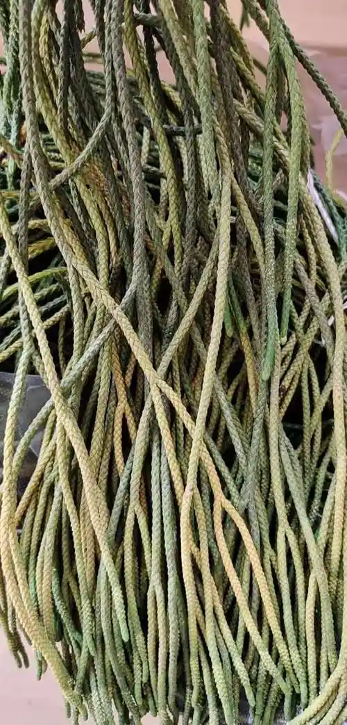 细叶 马尾千金草 活动中 云南500克【图片 价格 品牌 报价】-京东