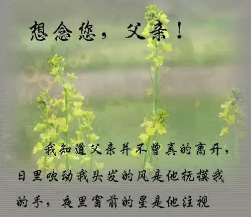 怀念过世父亲的短句子