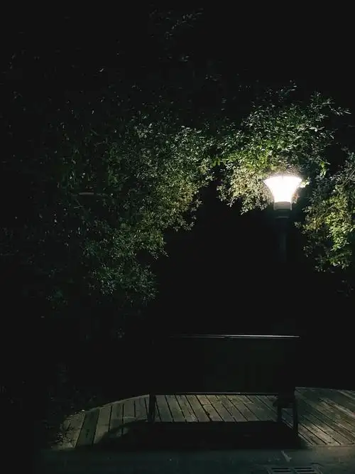 秋末有灯的夜晚摄于怀德名园楼下