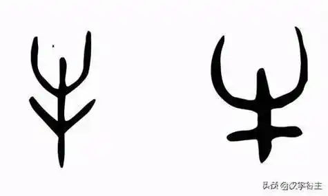 汉字博物:牛年话牛,甲骨文"牛"是什么牛,牛文化造出哪些字