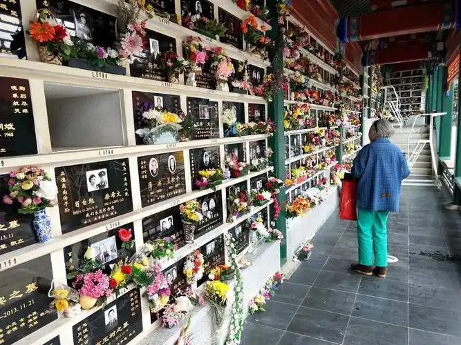 清明节,探访中国安葬高官最多的墓地,原来他们都在这|骨灰堂|墓地