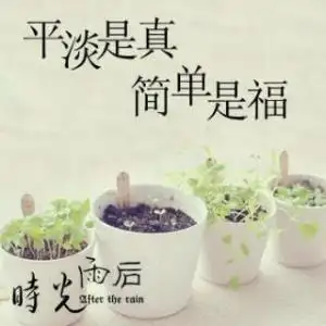 平淡是真淡而有味